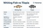 Is Whiting Better Than Tilapia? |